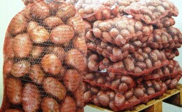 Правила хранения картофеля: можно ли его мыть перед закладкой