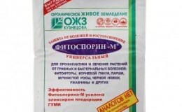 Инструкция по применению фитоспорина для огурцов