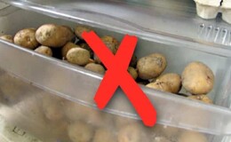 Как хранить картошку в холодильнике и можно ли так делать