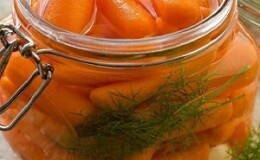 Простые и вкусные рецепты квашеной моркови
