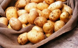 Чего не хватает в организме, если постоянно хочется картошки