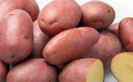 Превосходный вкус красного картофеля: в чем его особенности и какие бывают виды