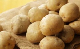 Сорт картофеля «Лилли» с высокой урожайностью