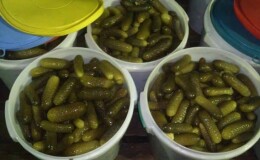 Как засолить огурцы в ведре на зиму холодным способом: лучшие рецепты от опытных домохозяек