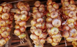 Пошаговая инструкция: как заплести лук в косы для хранения