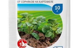 Как избавиться от сорняков на картошке с помощью «Лазурита» или его аналогов